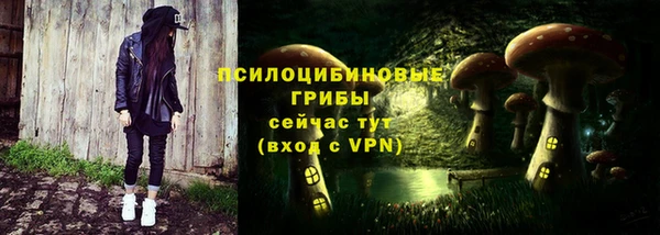 стафф Богородск