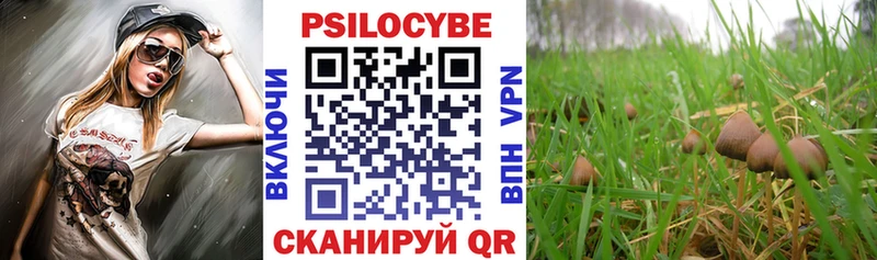 Псилоцибиновые грибы прущие грибы  ссылка на мегу ССЫЛКА  Каменка 